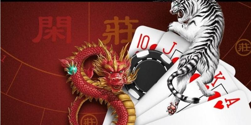 Chiến lược cược tăng cơ hội chiến thắng cao